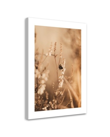 Leinwandbild - Beigefarbene Blumen auf dem Feld | Feeby