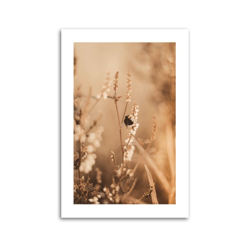 Leinwandbild - Beigefarbene Blumen auf dem Feld | Feeby