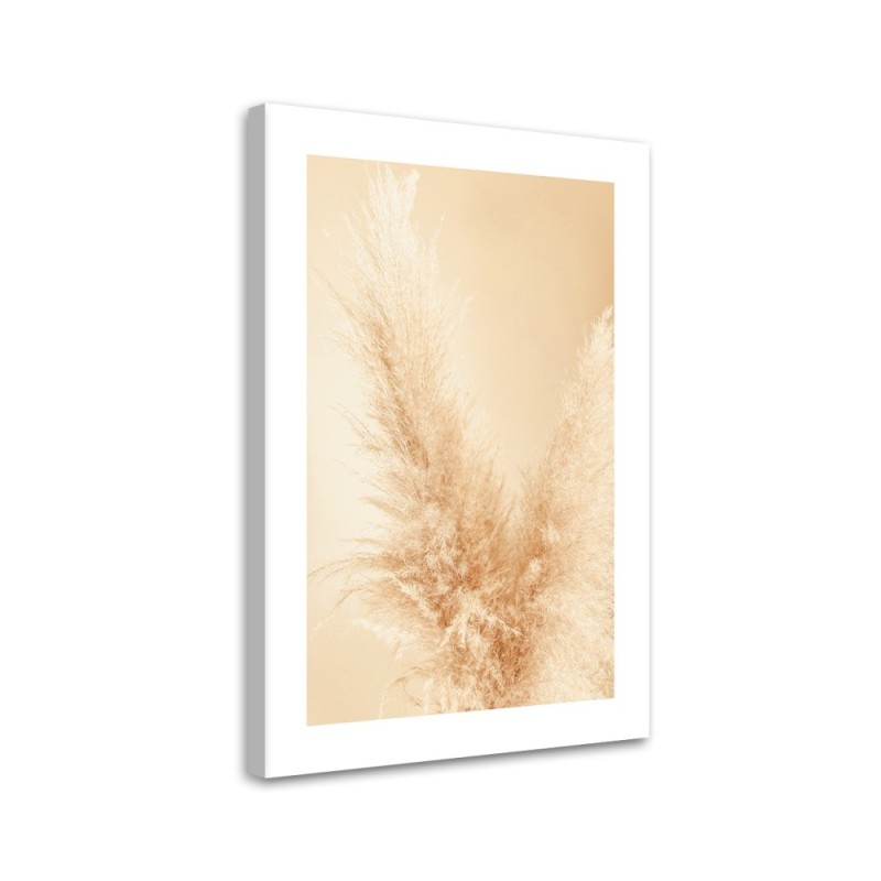 Modernes Wandbild - Pampasgras Makro | Feeby