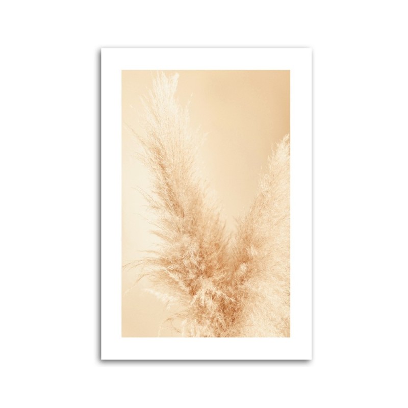 Modernes Wandbild - Pampasgras Makro | Feeby
