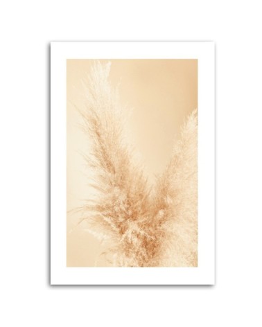 Modernes Wandbild - Pampasgras Makro | Feeby