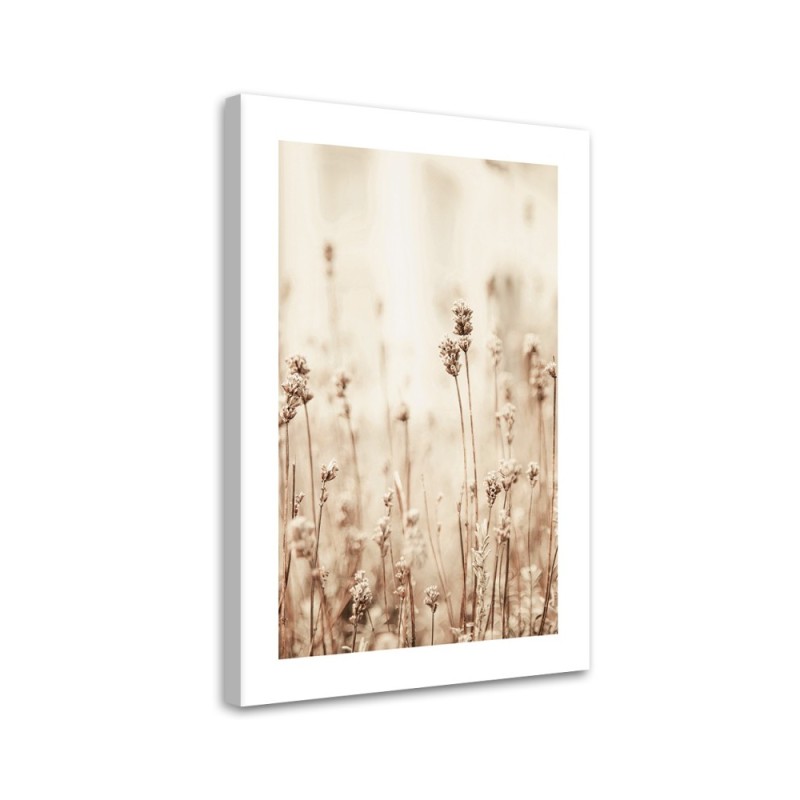 Wandbild für Wohnzimmer - Zarte Feldblumen | Feeby