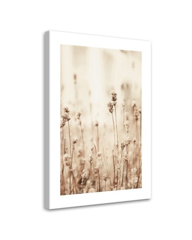 Wandbild für Wohnzimmer - Zarte Feldblumen | Feeby