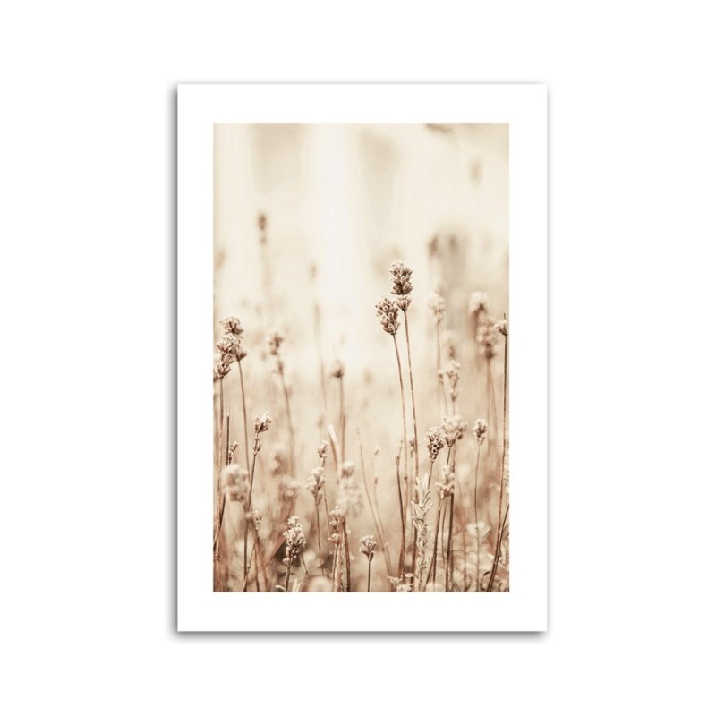 Wandbild für Wohnzimmer - Zarte Feldblumen | Feeby