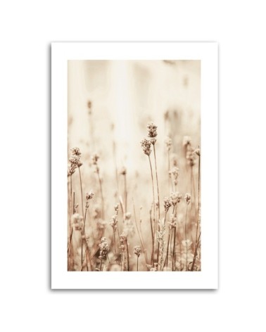 Wandbild für Wohnzimmer - Zarte Feldblumen | Feeby