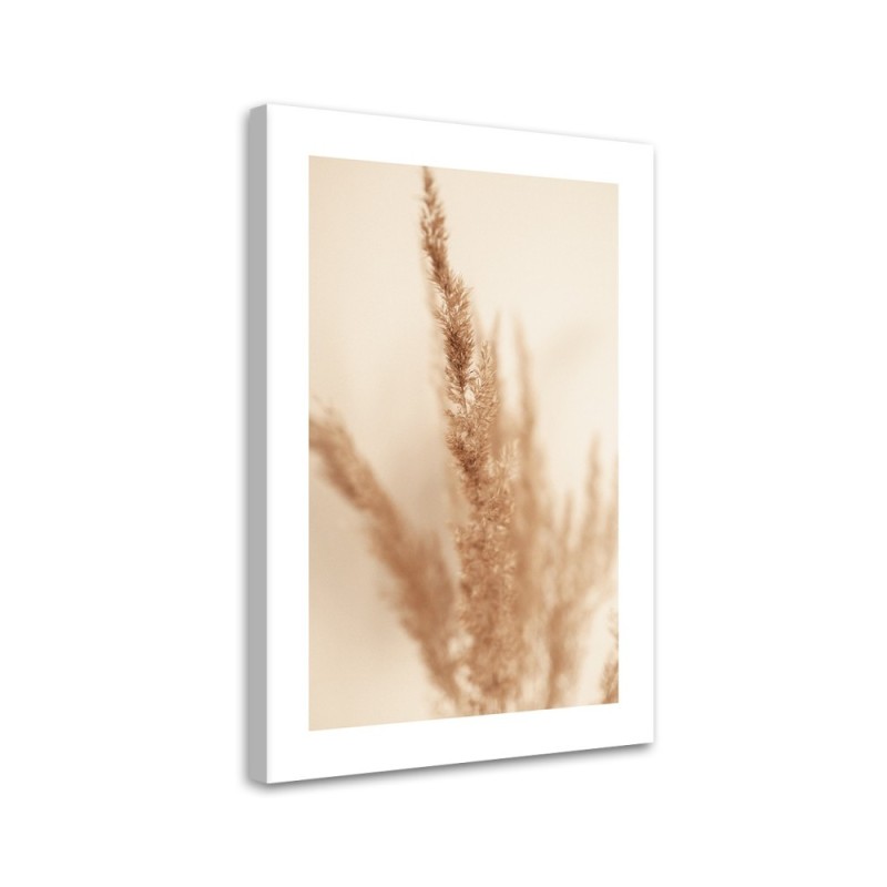 Leinwandbild - Beigefarbenes Pampasgras | Feeby