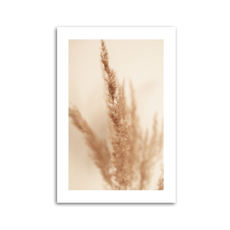 Leinwandbild - Beigefarbenes Pampasgras | Feeby