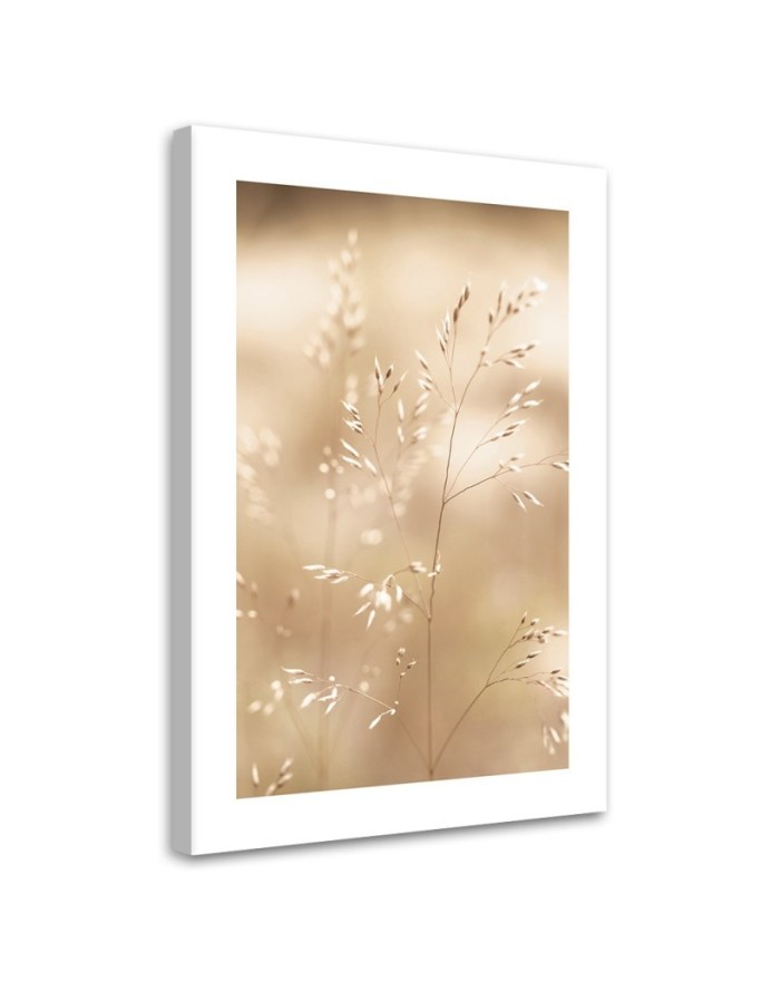 Leinwandbild - Trockenes Gras auf beigem Hintergrund | Feeby