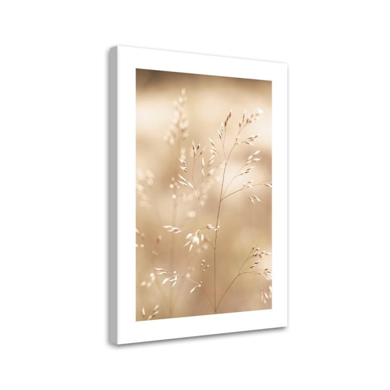 Leinwandbild - Trockenes Gras auf beigem Hintergrund | Feeby