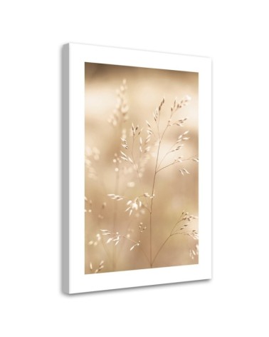 Leinwandbild - Trockenes Gras auf beigem Hintergrund | Feeby