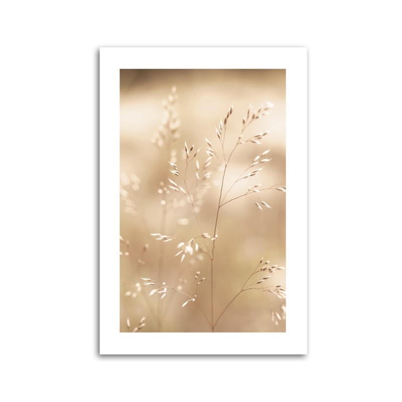 Leinwandbild - Trockenes Gras auf beigem Hintergrund | Feeby