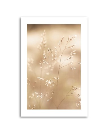 Leinwandbild - Trockenes Gras auf beigem Hintergrund | Feeby