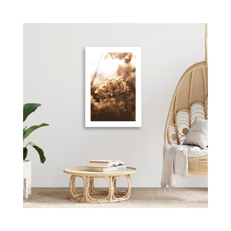 Obraz na płótnie - Uschnięta hortensja o zachodzie słońca | FEEBY