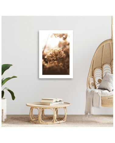 Obraz na płótnie - Uschnięta hortensja o zachodzie słońca | FEEBY