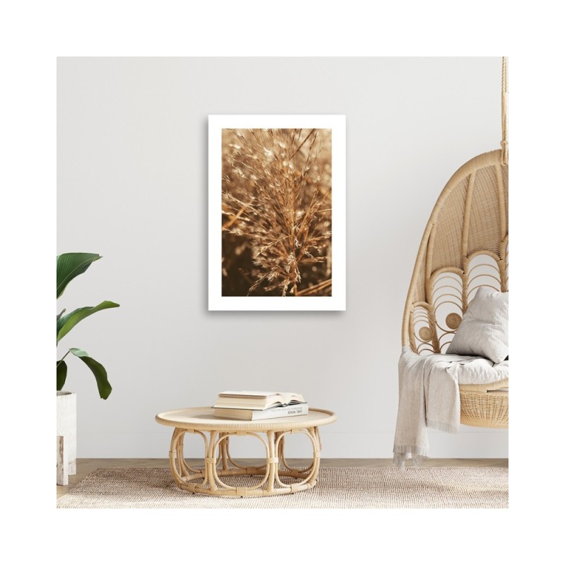 Bild auf Leinwand - Beigefarbenes Gras | Feeby