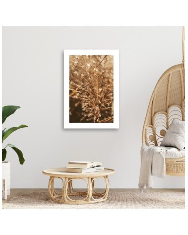 Bild auf Leinwand - Beigefarbenes Gras | Feeby