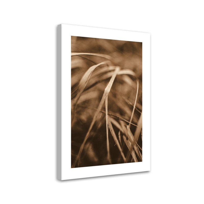 Leinwandbild - Trockenes Gras | Feeby