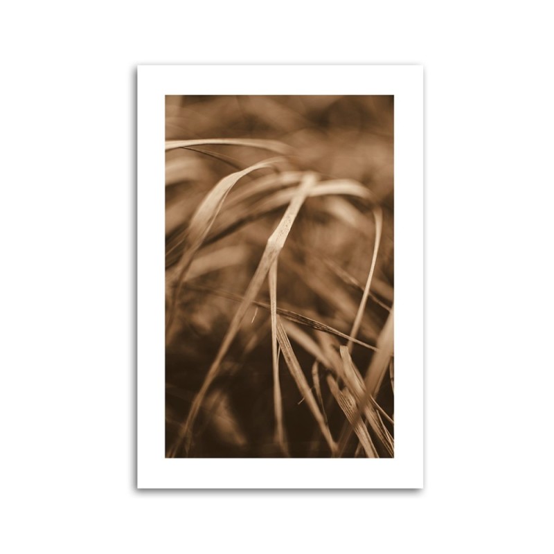 Leinwandbild - Trockenes Gras | Feeby