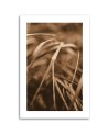Canvas painting - Dry grass | FEEBY