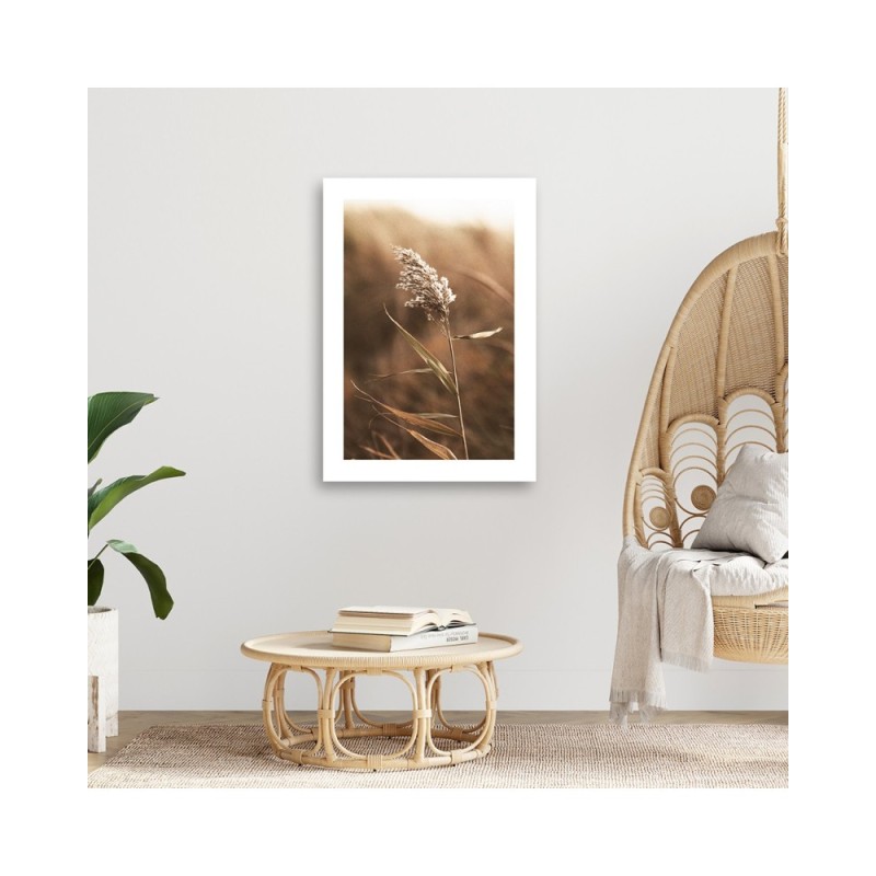 Leinwanddruck - Schilf im Makromaßstab | Feeby