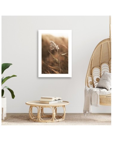 Leinwanddruck - Schilf im Makromaßstab | Feeby