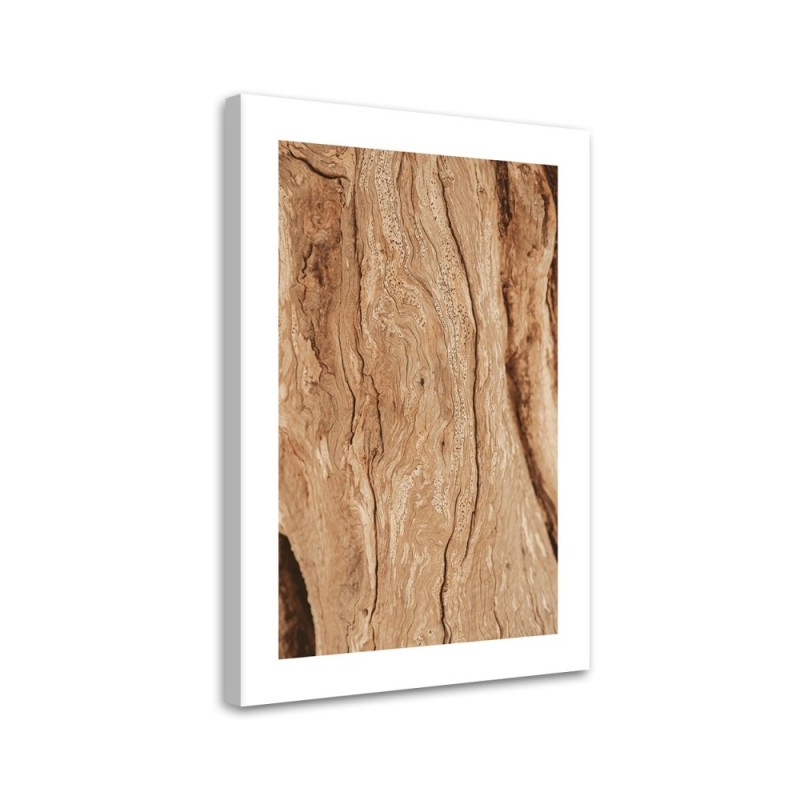 Bild auf Leinwand - Baum ohne Rinde | Feeby