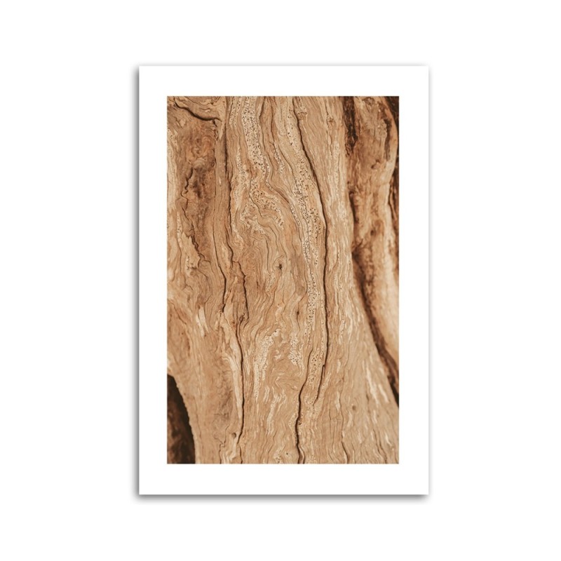 Bild auf Leinwand - Baum ohne Rinde | Feeby