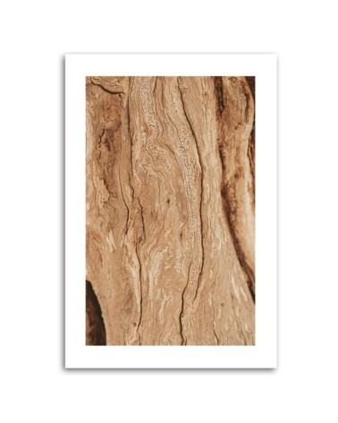 Bild auf Leinwand - Baum ohne Rinde | Feeby