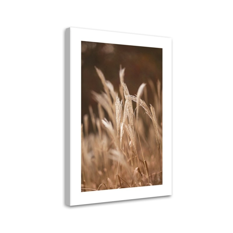 Modernes Wandbild - Trockenes Gras auf der Wiese | Feeby