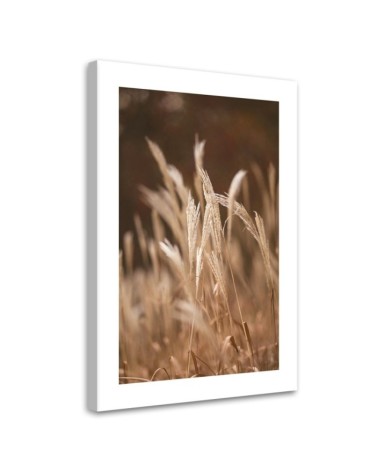 Modernes Wandbild - Trockenes Gras auf der Wiese | Feeby