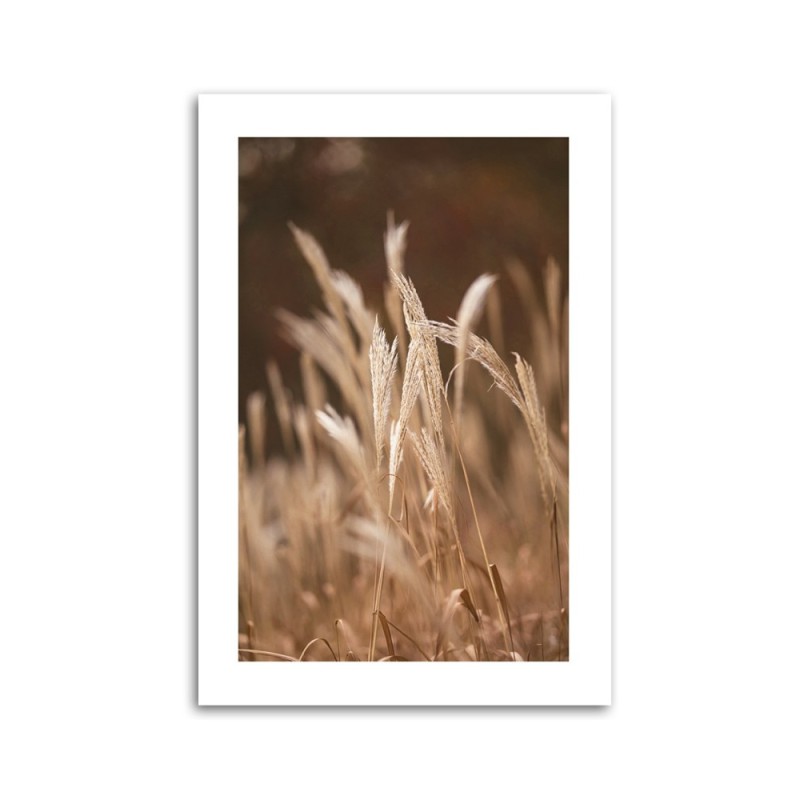 Modernes Wandbild - Trockenes Gras auf der Wiese | Feeby