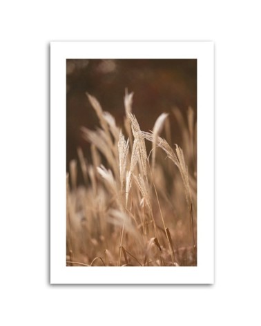 Modernes Wandbild - Trockenes Gras auf der Wiese | Feeby