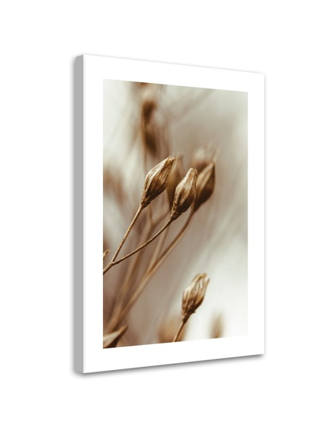 Leinwandbild - Verwelkte Blumenblätter | Feeby