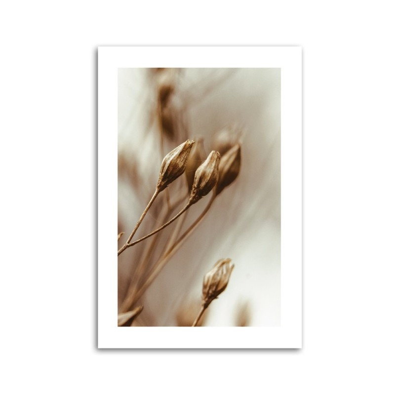 Leinwandbild - Verwelkte Blumenblätter | Feeby