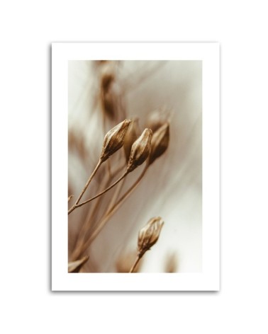 Leinwandbild - Verwelkte Blumenblätter | Feeby