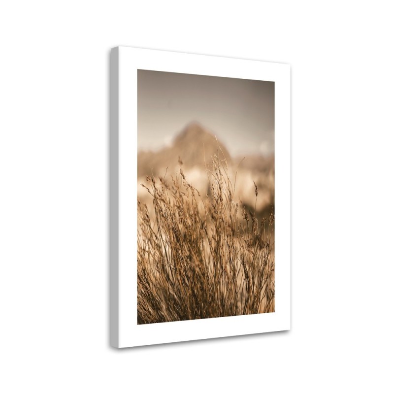 Dekoratives Leinwandbild - Vertrocknetes Gras | Feeby