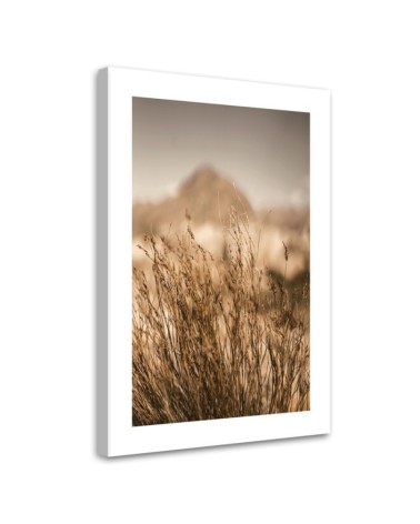Dekoratives Leinwandbild - Vertrocknetes Gras | Feeby