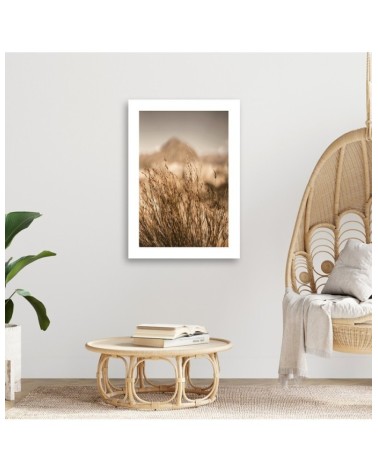 Dekoratives Leinwandbild - Vertrocknetes Gras | Feeby