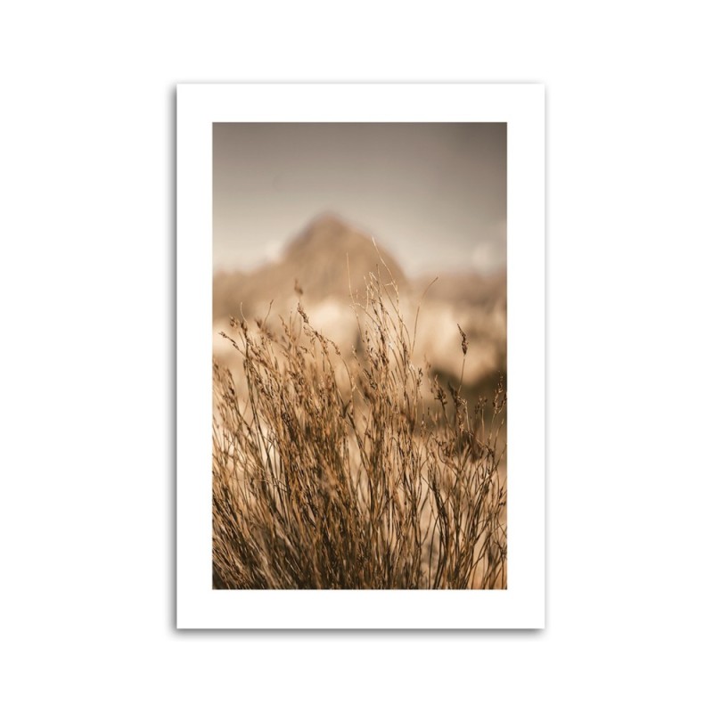 Dekoratives Leinwandbild - Vertrocknetes Gras | Feeby