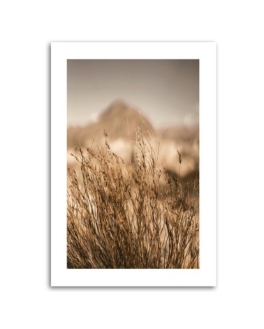 Dekoratives Leinwandbild - Vertrocknetes Gras | Feeby
