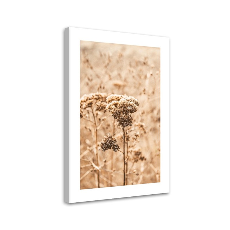 Modernes Wandbild - Beige Gräser | Feeby