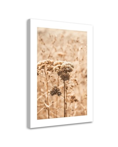 Modernes Wandbild - Beige Gräser | Feeby