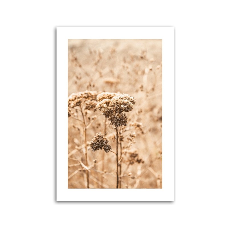 Modernes Wandbild - Beige Gräser | Feeby