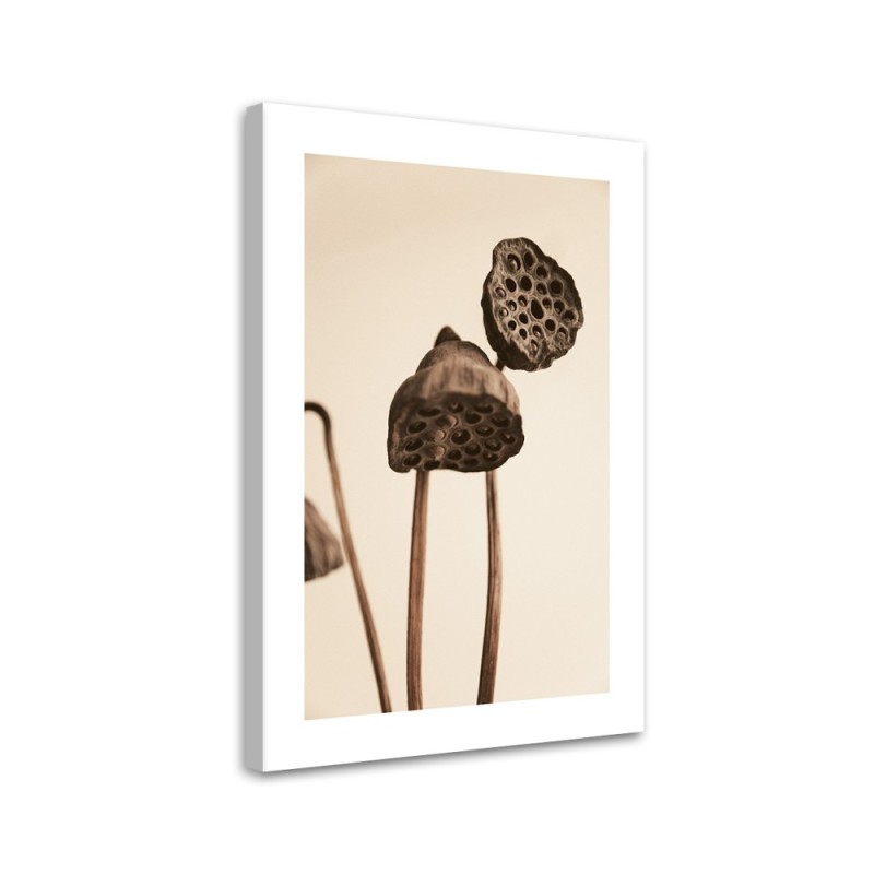 Wandbild für Wohnzimmer - Getrocknete Lotosblumen | Feeby