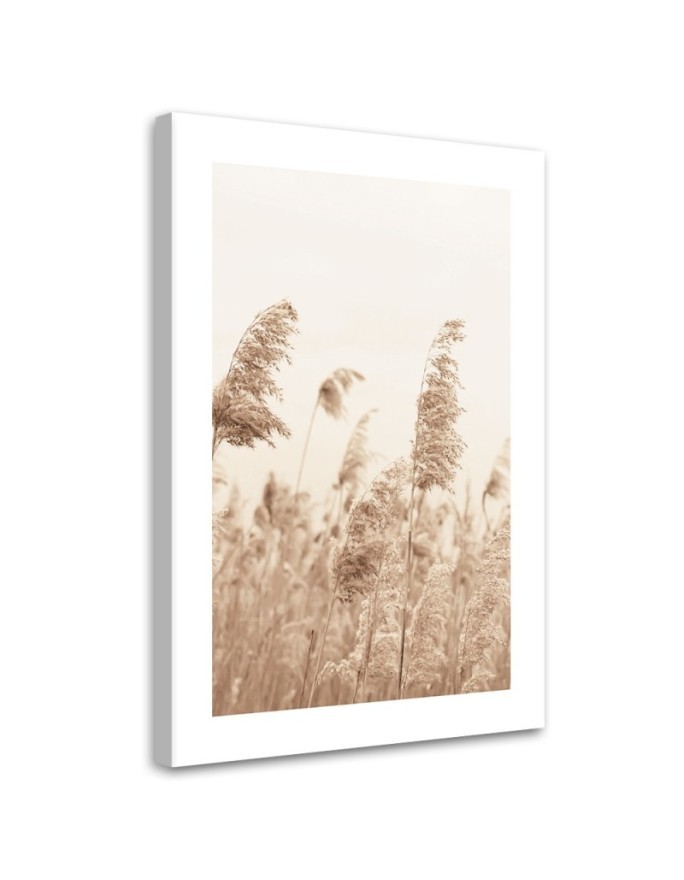 Bild auf Leinwand - Schilf das sich im Wind wiegt | Feeby