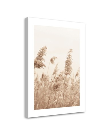 Bild auf Leinwand - Schilf das sich im Wind wiegt | Feeby