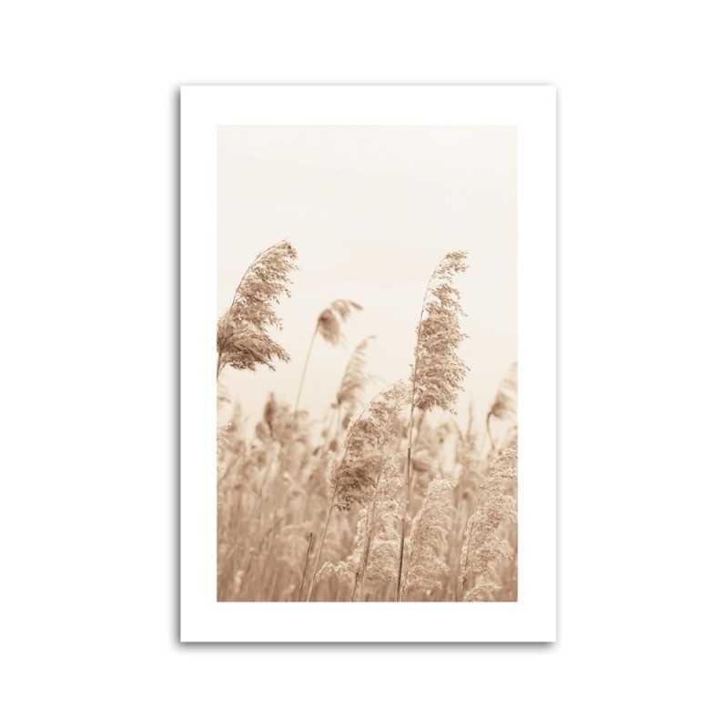 Bild auf Leinwand - Schilf das sich im Wind wiegt | Feeby