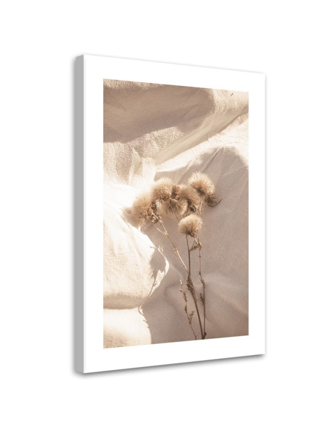 Leinwandbild modern - Zarte Trockenblumen | Feeby