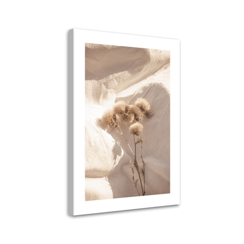 Leinwandbild modern - Zarte Trockenblumen | Feeby