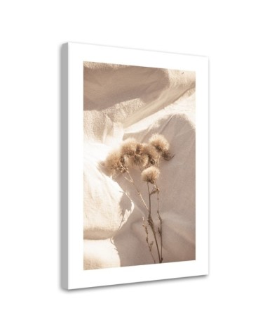 Leinwandbild modern - Zarte Trockenblumen | Feeby